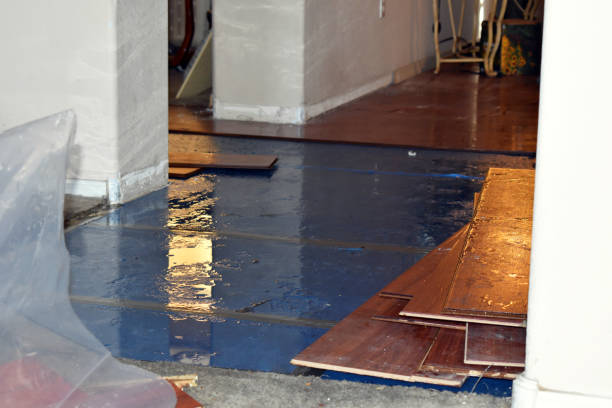 Professional Water Damage Restoration technician working in Mayville, NY